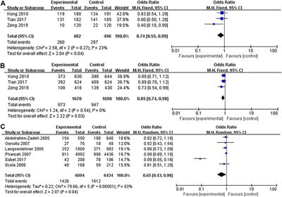 Association of Interleukin-10 Polymorphism (rs1800896, rs1800871, and rs1800872) With Breast Cancer Risk: An Updated Meta-Analysis Based on Different Ethnic Groups